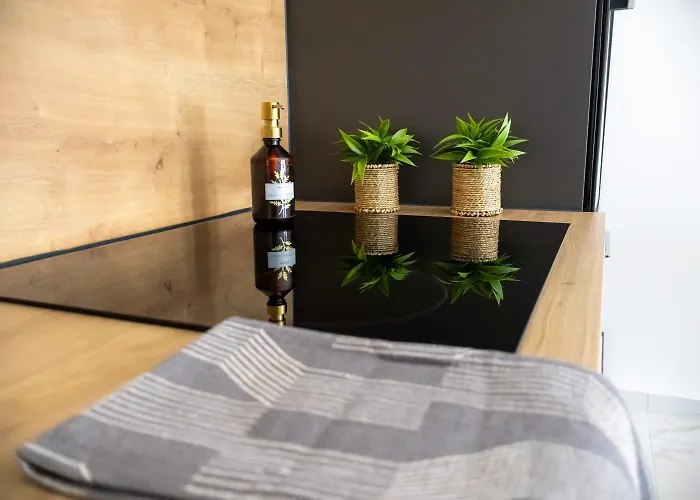 Stylish House Aurora Apartament